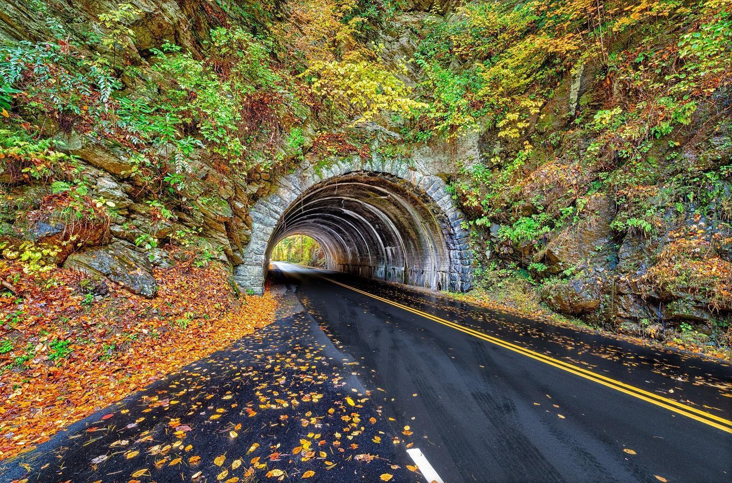 A Stones Throw, You Get 1089 Free Attraction Tickets Per Paid Day, Dollywood And Much More! Pigeon Forge Ngoại thất bức ảnh
